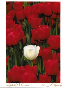 Me in the Arms of Jesus