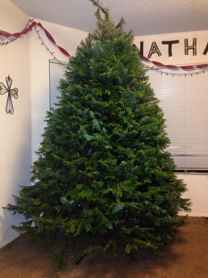 12314061_10207494790635627_2020344052109852376_n